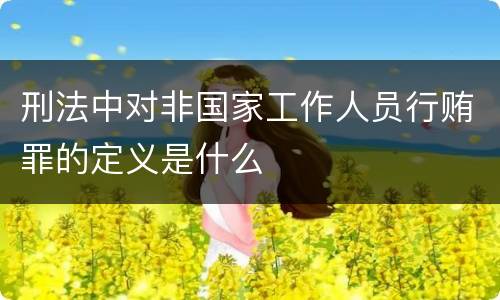 刑法中对非国家工作人员行贿罪的定义是什么