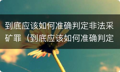 到底应该如何准确判定非法采矿罪（到底应该如何准确判定非法采矿罪名）