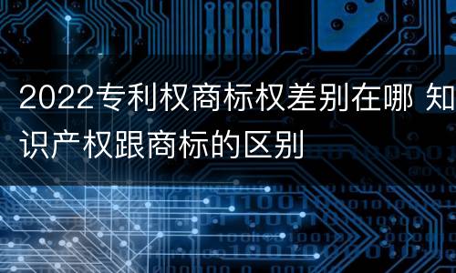 2022专利权商标权差别在哪 知识产权跟商标的区别