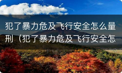 犯了暴力危及飞行安全怎么量刑（犯了暴力危及飞行安全怎么量刑的）