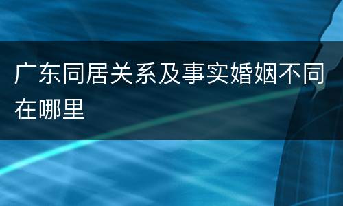 广东同居关系及事实婚姻不同在哪里
