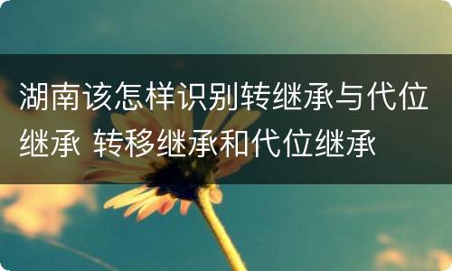 湖南该怎样识别转继承与代位继承 转移继承和代位继承