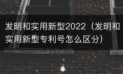 发明和实用新型2022（发明和实用新型专利号怎么区分）