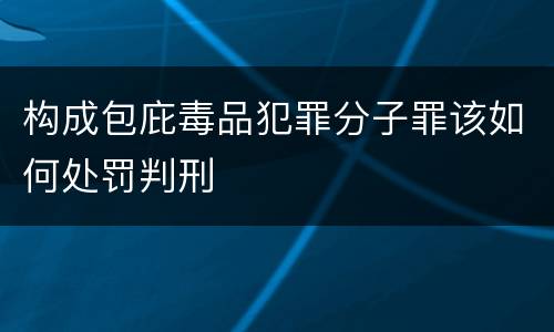 构成包庇毒品犯罪分子罪该如何处罚判刑