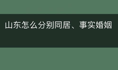 山东怎么分别同居、事实婚姻