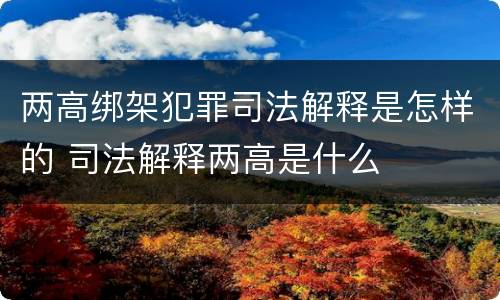 两高绑架犯罪司法解释是怎样的 司法解释两高是什么