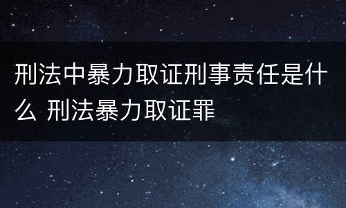 刑法中暴力取证刑事责任是什么 刑法暴力取证罪