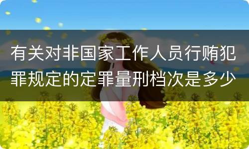 有关对非国家工作人员行贿犯罪规定的定罪量刑档次是多少