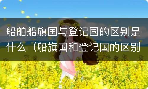 船舶船旗国与登记国的区别是什么（船旗国和登记国的区别）