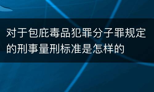 对于包庇毒品犯罪分子罪规定的刑事量刑标准是怎样的