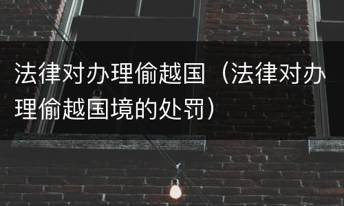 法律对办理偷越国（法律对办理偷越国境的处罚）