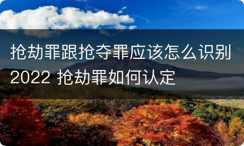抢劫罪跟抢夺罪应该怎么识别2022 抢劫罪如何认定