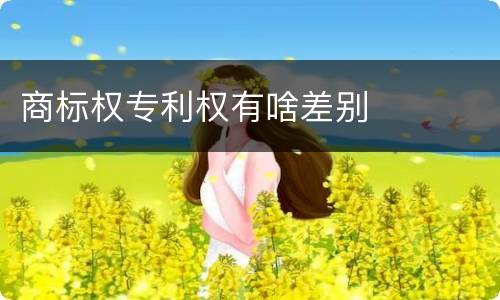 商标权专利权有啥差别