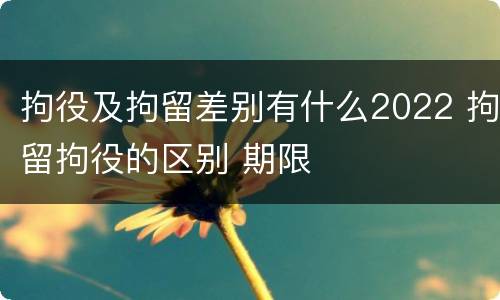 拘役及拘留差别有什么2022 拘留拘役的区别 期限