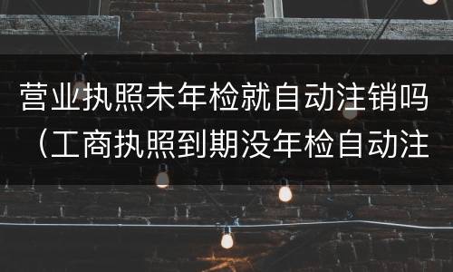 营业执照未年检就自动注销吗（工商执照到期没年检自动注销吗）