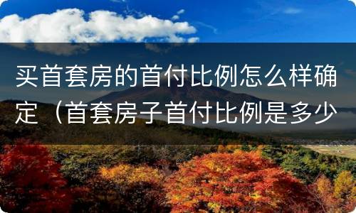 买首套房的首付比例怎么样确定（首套房子首付比例是多少）