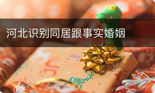 河北识别同居跟事实婚姻