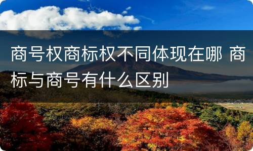 商号权商标权不同体现在哪 商标与商号有什么区别