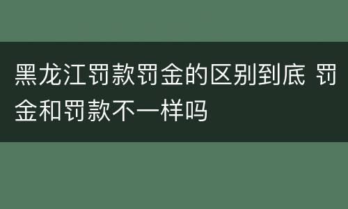 黑龙江罚款罚金的区别到底 罚金和罚款不一样吗