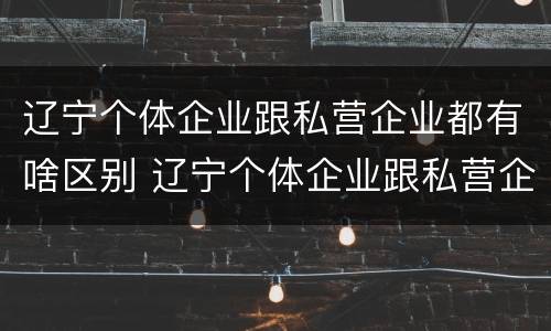 辽宁个体企业跟私营企业都有啥区别 辽宁个体企业跟私营企业都有啥区别呀