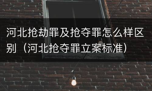 河北抢劫罪及抢夺罪怎么样区别（河北抢夺罪立案标准）