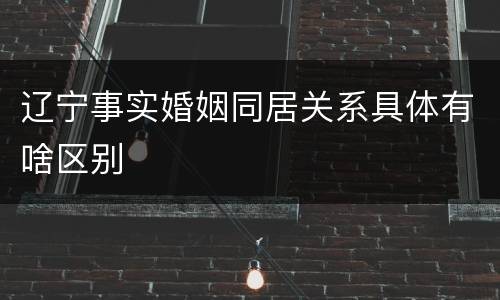 辽宁事实婚姻同居关系具体有啥区别