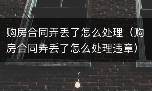 购房合同弄丢了怎么处理（购房合同弄丢了怎么处理违章）