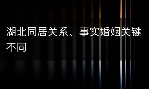 湖北同居关系、事实婚姻关键不同
