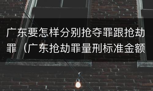 广东要怎样分别抢夺罪跟抢劫罪（广东抢劫罪量刑标准金额）