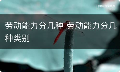 劳动能力分几种 劳动能力分几种类别