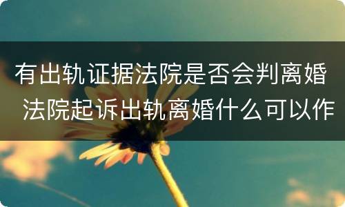 有出轨证据法院是否会判离婚 法院起诉出轨离婚什么可以作为证据
