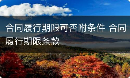 合同履行期限可否附条件 合同履行期限条款