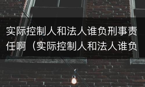 实际控制人和法人谁负刑事责任啊（实际控制人和法人谁负刑事责任啊）