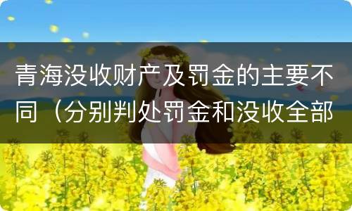 青海没收财产及罚金的主要不同（分别判处罚金和没收全部财产）