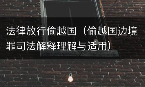 法律放行偷越国（偷越国边境罪司法解释理解与适用）
