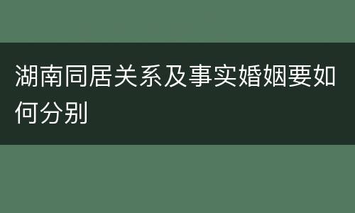 湖南同居关系及事实婚姻要如何分别