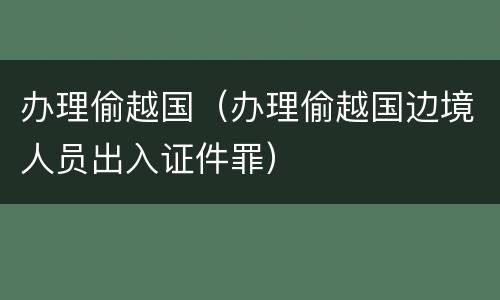 办理偷越国（办理偷越国边境人员出入证件罪）