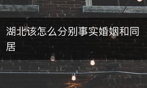 湖北该怎么分别事实婚姻和同居