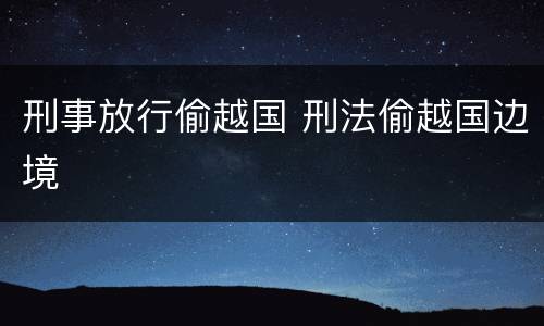 刑事放行偷越国 刑法偷越国边境