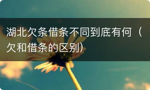 湖北欠条借条不同到底有何（欠和借条的区别）
