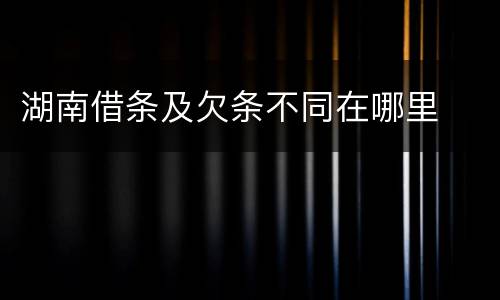 湖南借条及欠条不同在哪里
