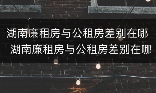 湖南廉租房与公租房差别在哪 湖南廉租房与公租房差别在哪查