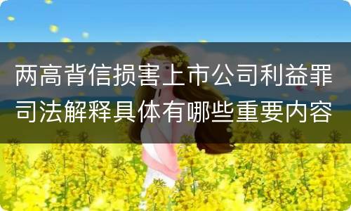 两高背信损害上市公司利益罪司法解释具体有哪些重要内容