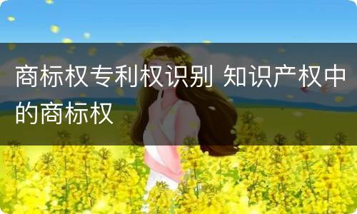 商标权专利权识别 知识产权中的商标权