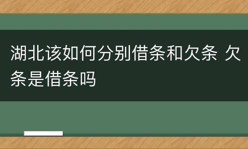湖北该如何分别借条和欠条 欠条是借条吗