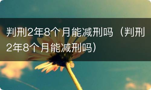 判刑2年8个月能减刑吗（判刑2年8个月能减刑吗）