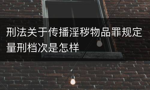 刑法关于传播淫秽物品罪规定量刑档次是怎样