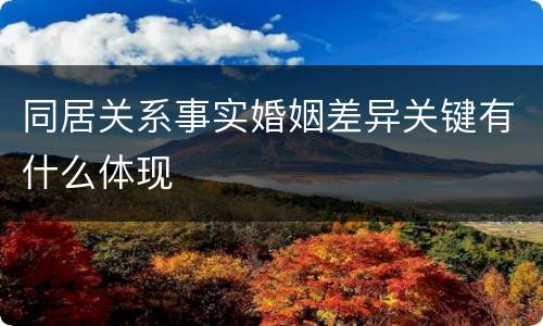 同居关系事实婚姻差异关键有什么体现