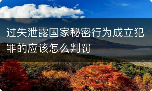 过失泄露国家秘密行为成立犯罪的应该怎么判罚
