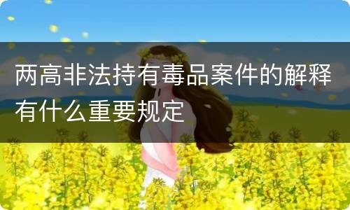 两高非法持有毒品案件的解释有什么重要规定